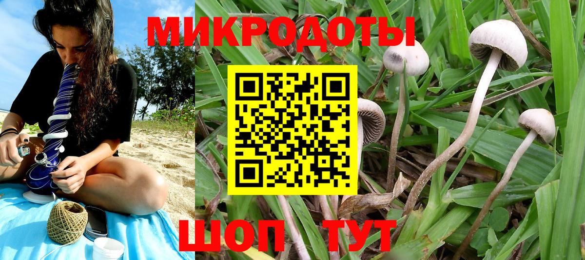 Псилоцибиновые грибы мицелий Липецк