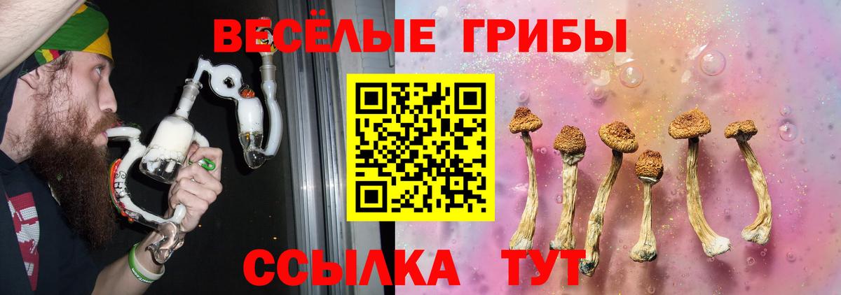 Псилоцибиновые грибы MAGIC MUSHROOMS  Галлюциногенные грибы GOLDEN TEACHER  Вход с VPN  Липецк 